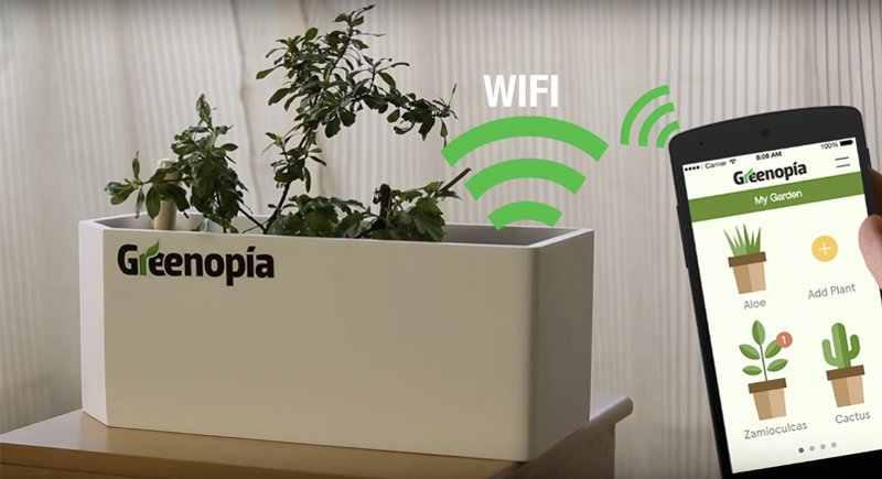 Greenopia-smart-flower-pot