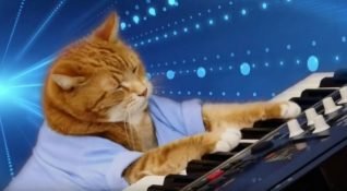 YouTube fenomeni “Keyboard Cat” Bento hayatını kaybetti